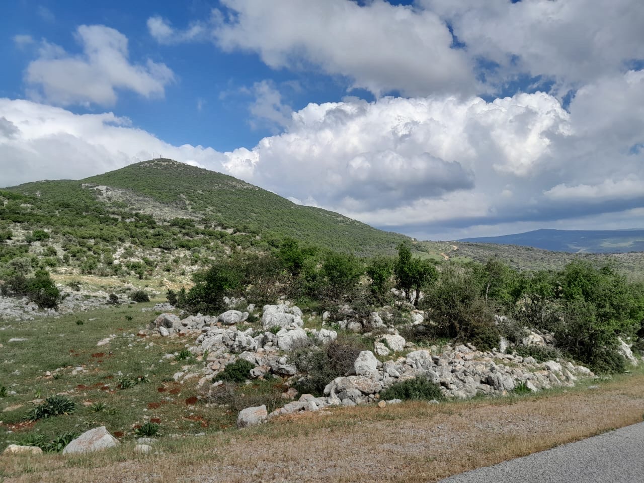 Land
