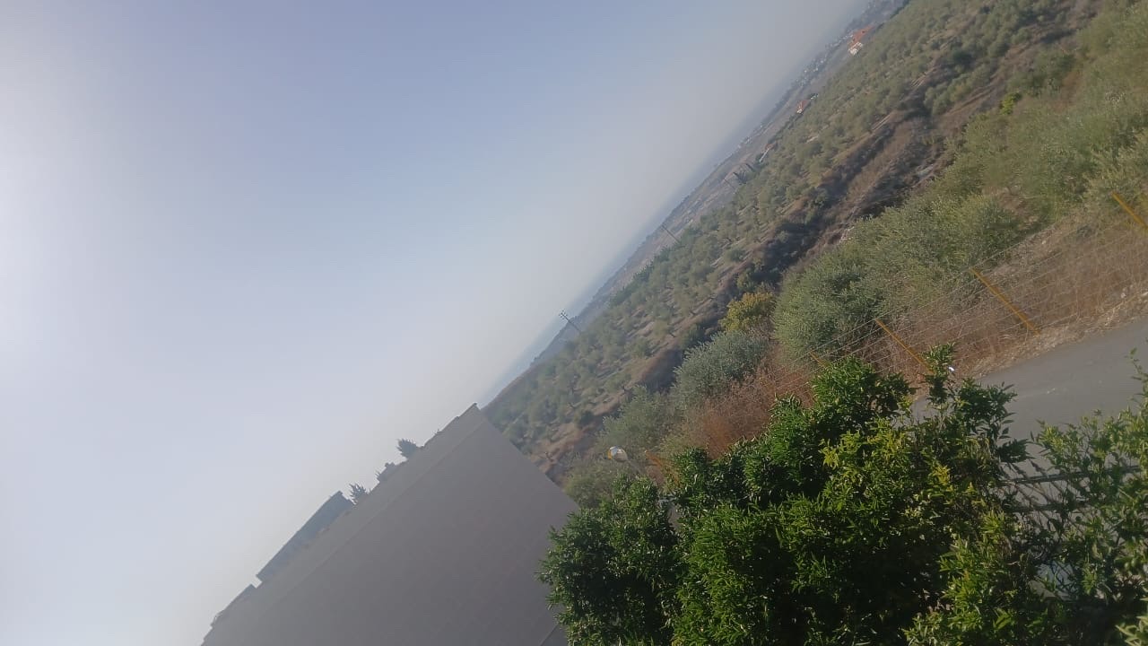 Land
