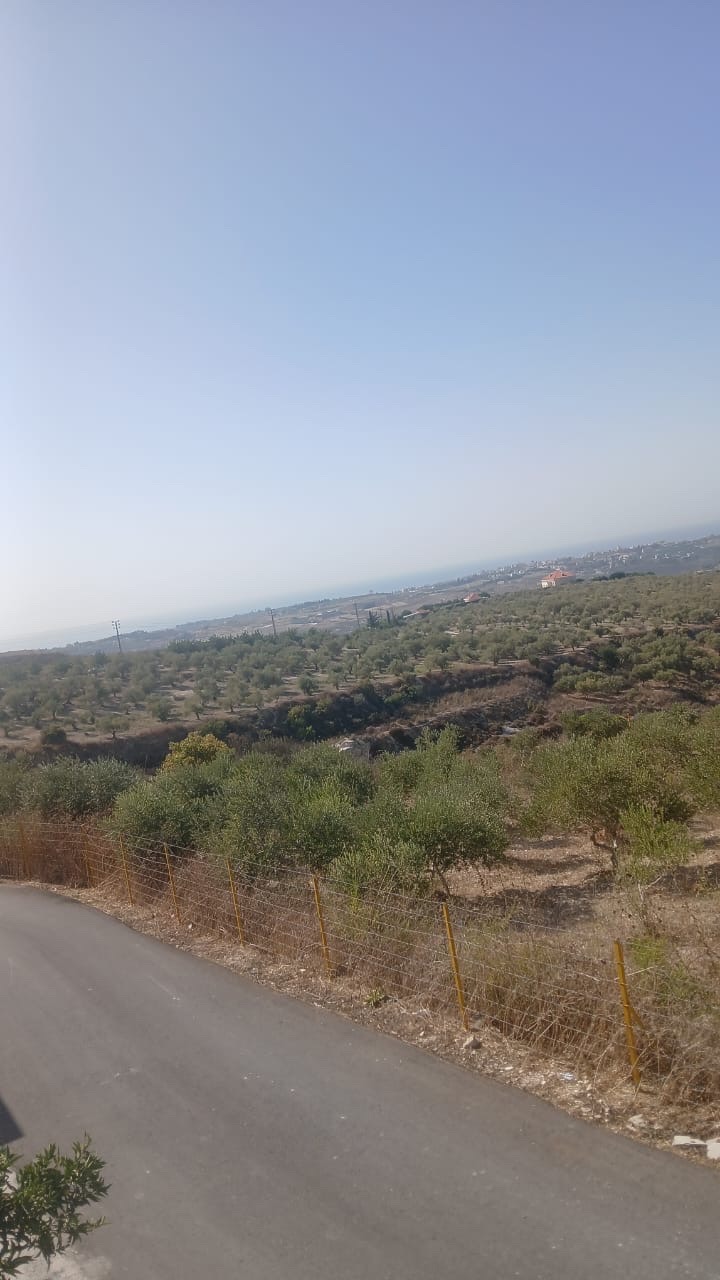 Land