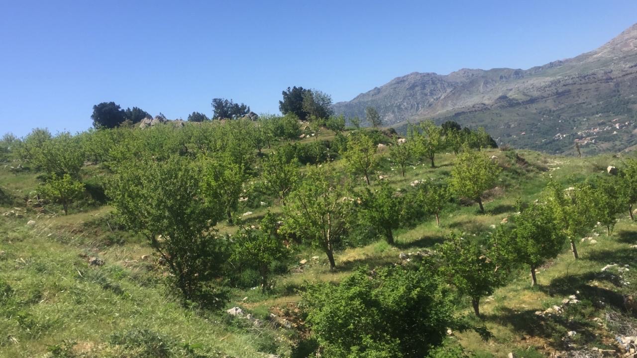 Land