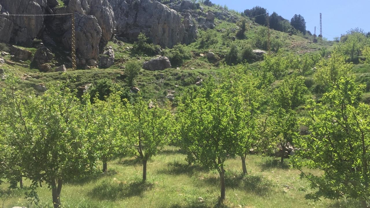 Land