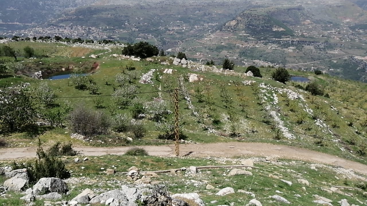 Land