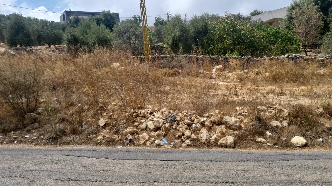 Land