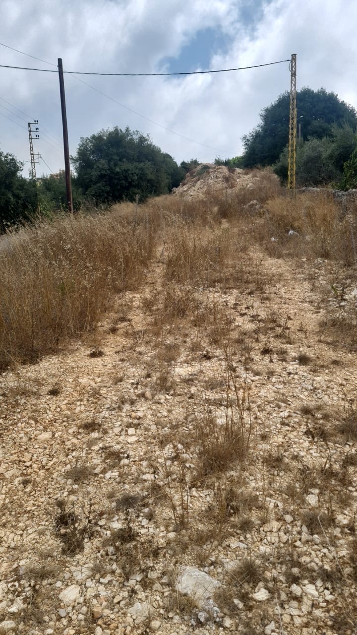 Land
