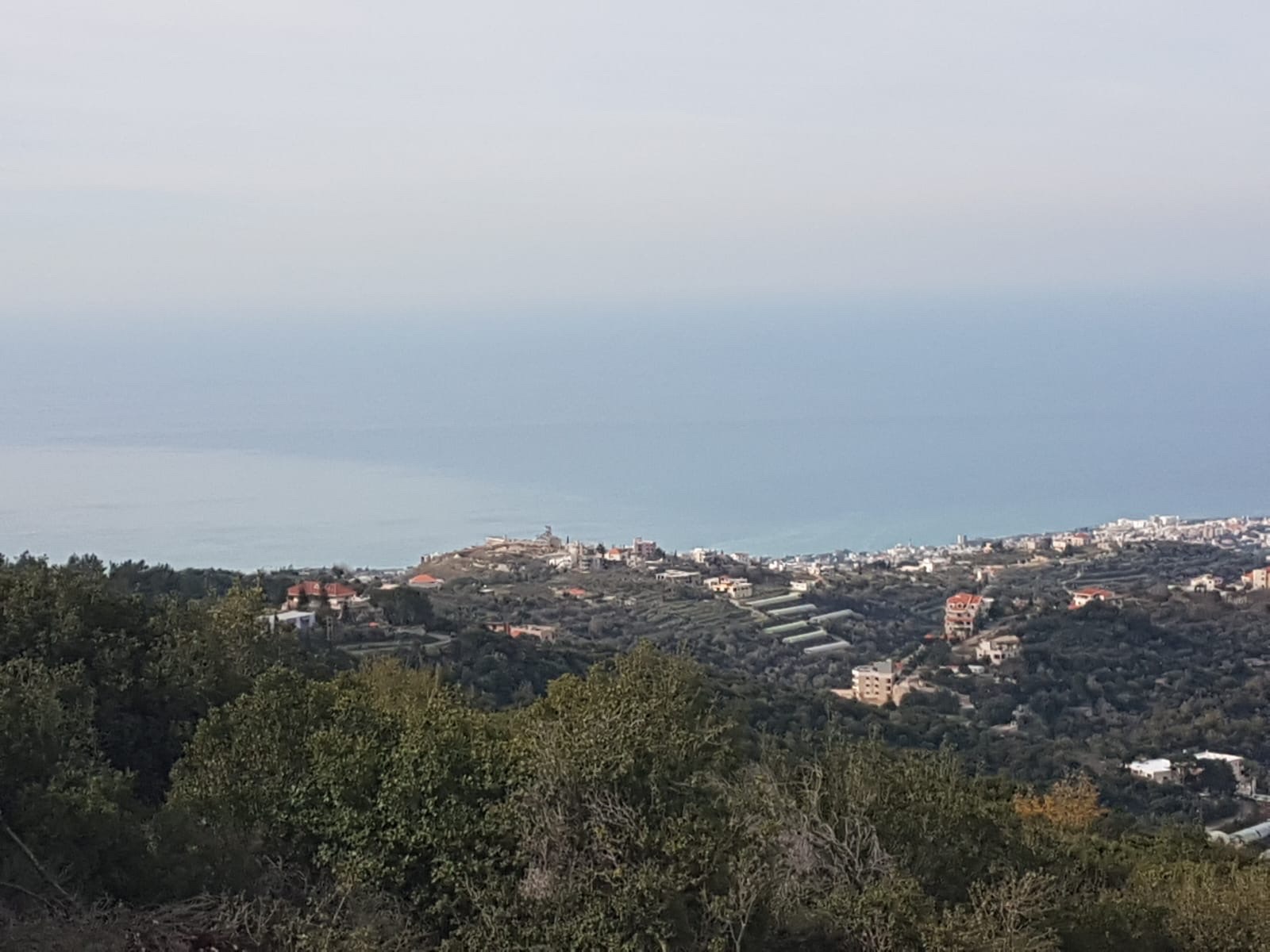 Land