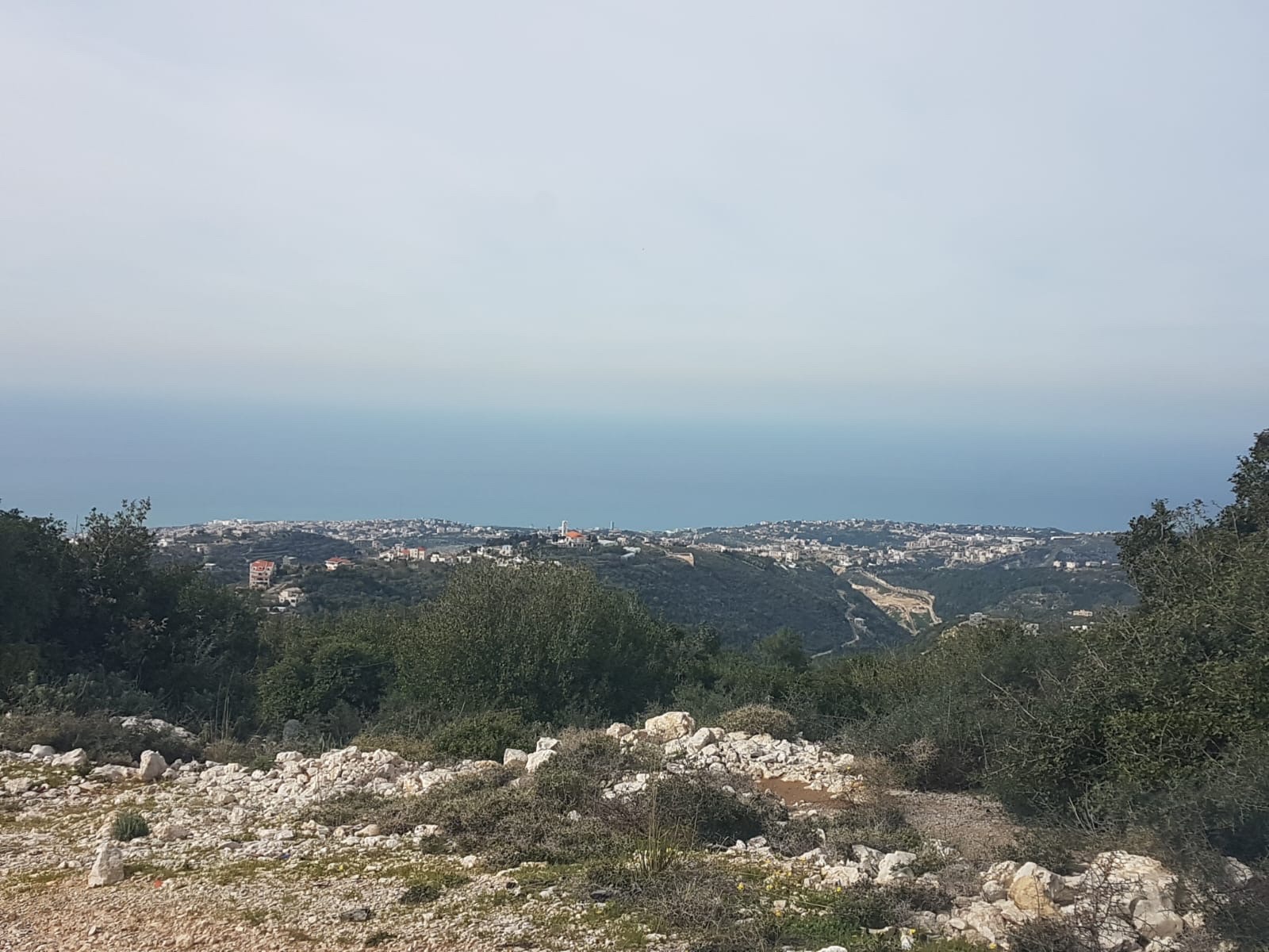 Land