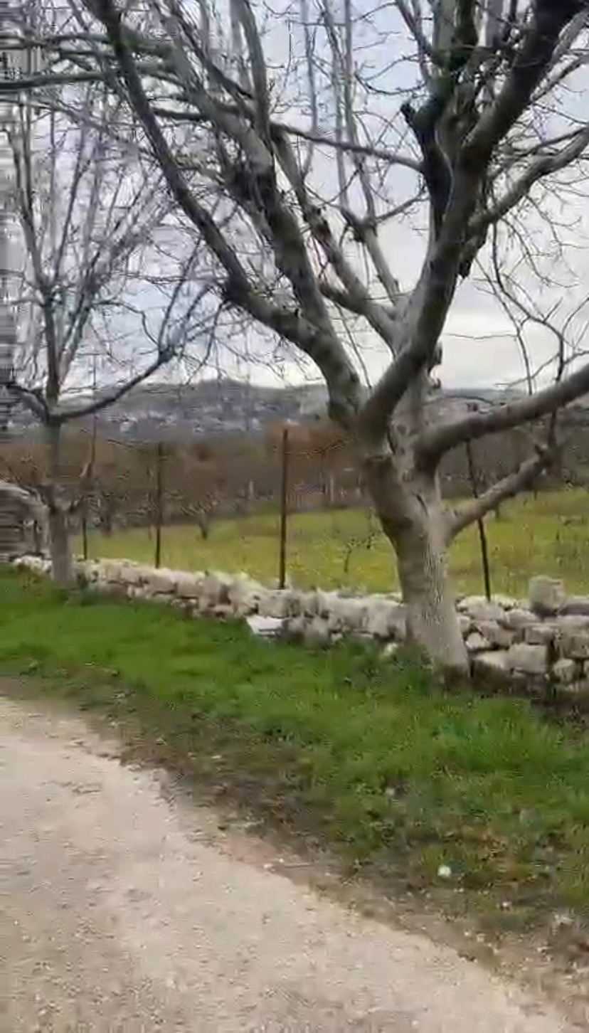 Land