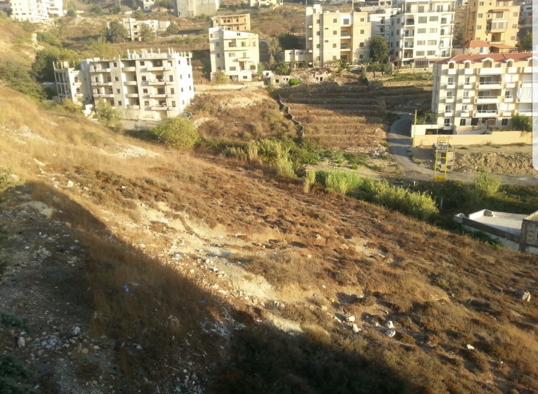 Land