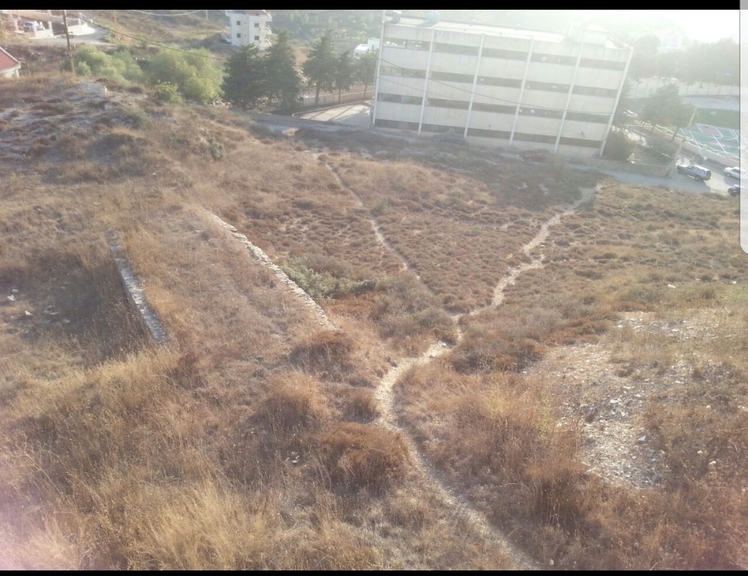 Land