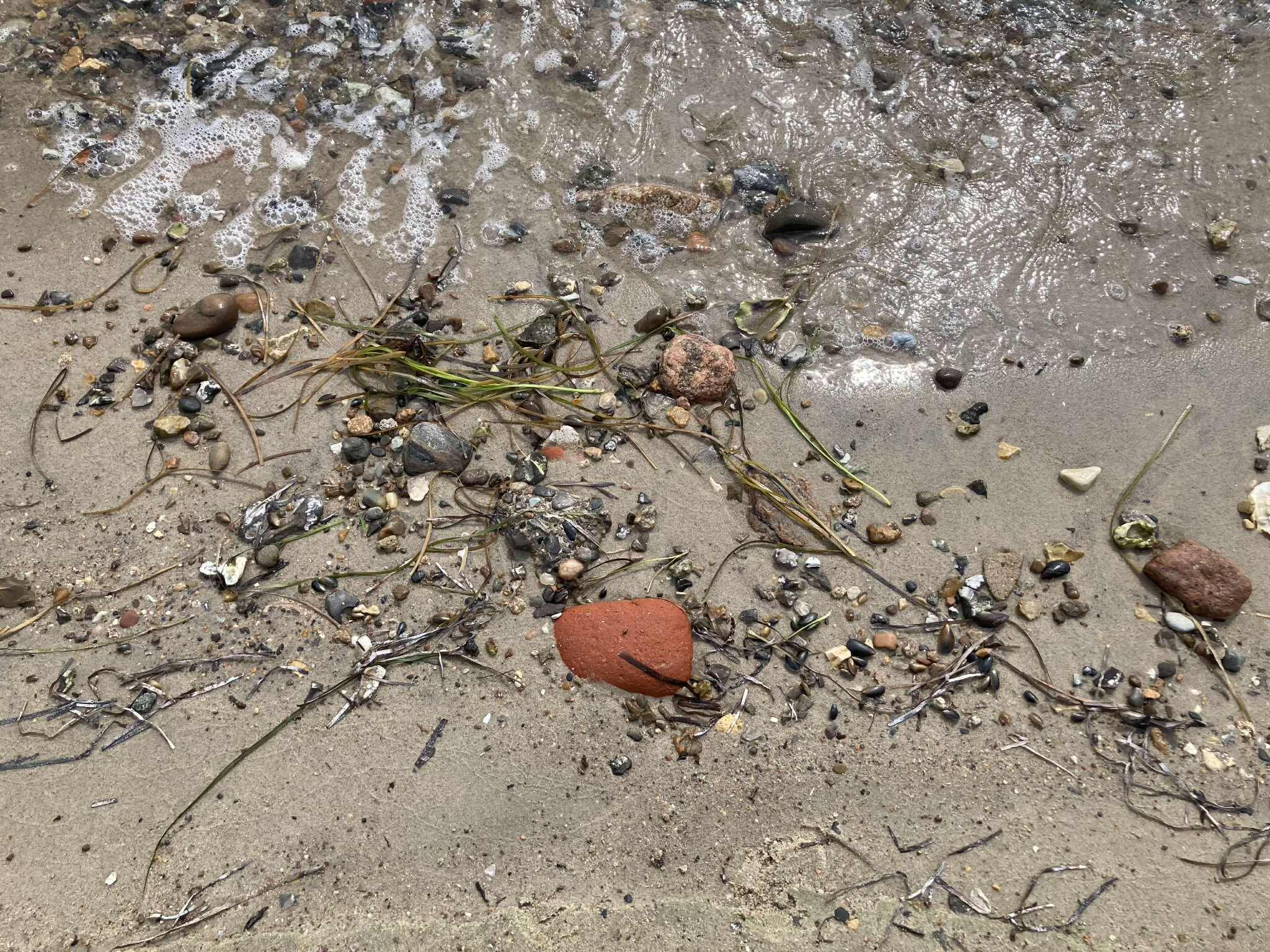 Machteld Mercelis - Beach