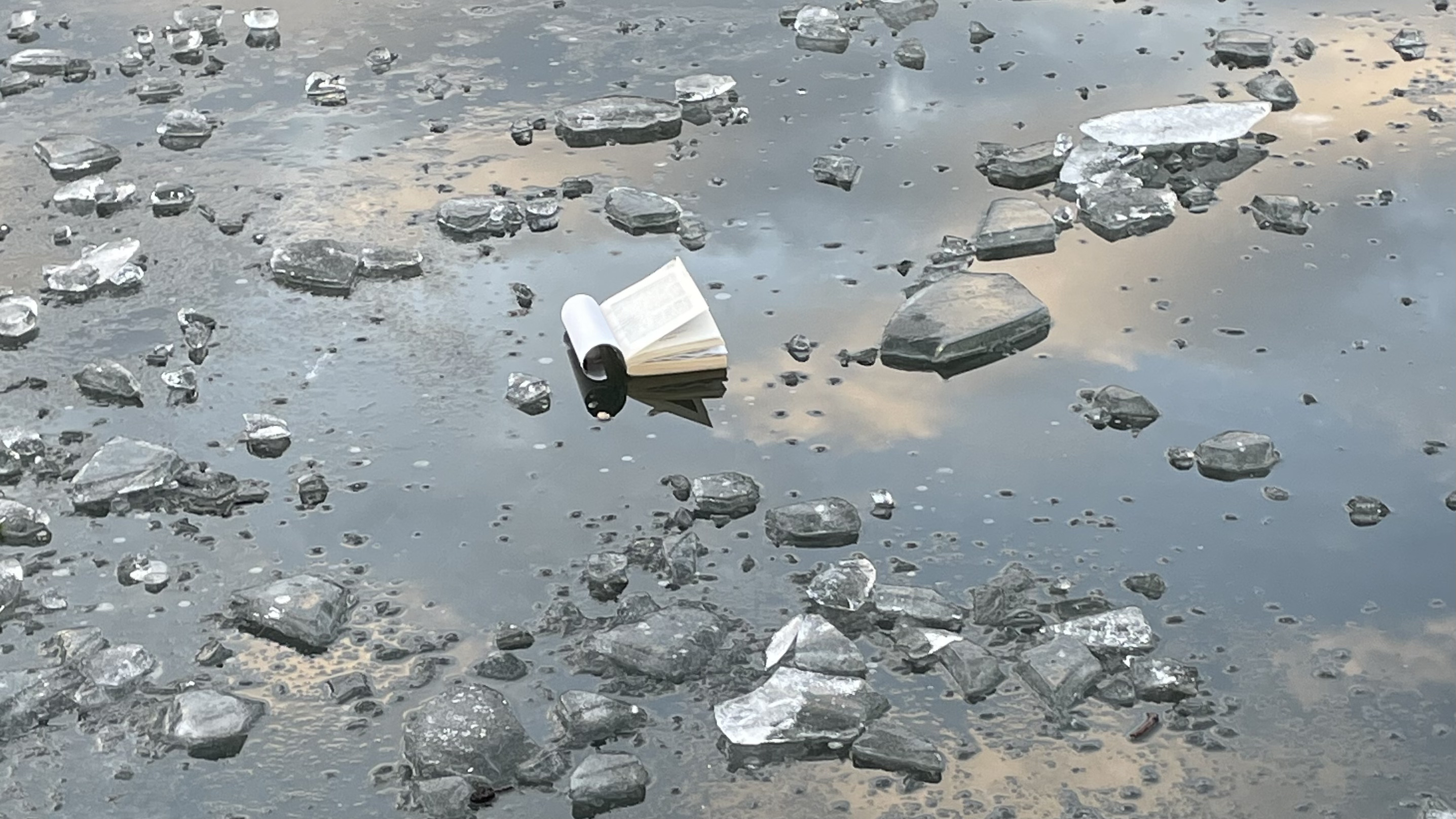 13 January 2025, Blackheath