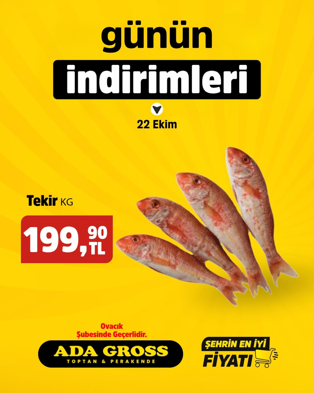 Adagross İndirim Brosuru