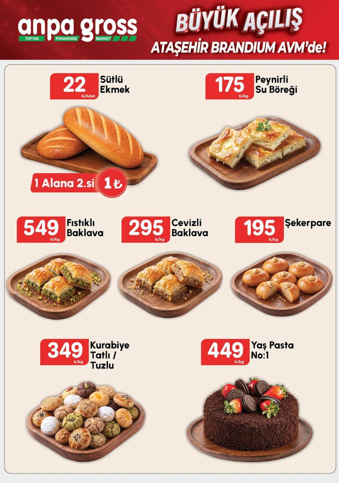 Anpagross Atasehir Brandium Avm Acilisa Ozel — sayfa 10