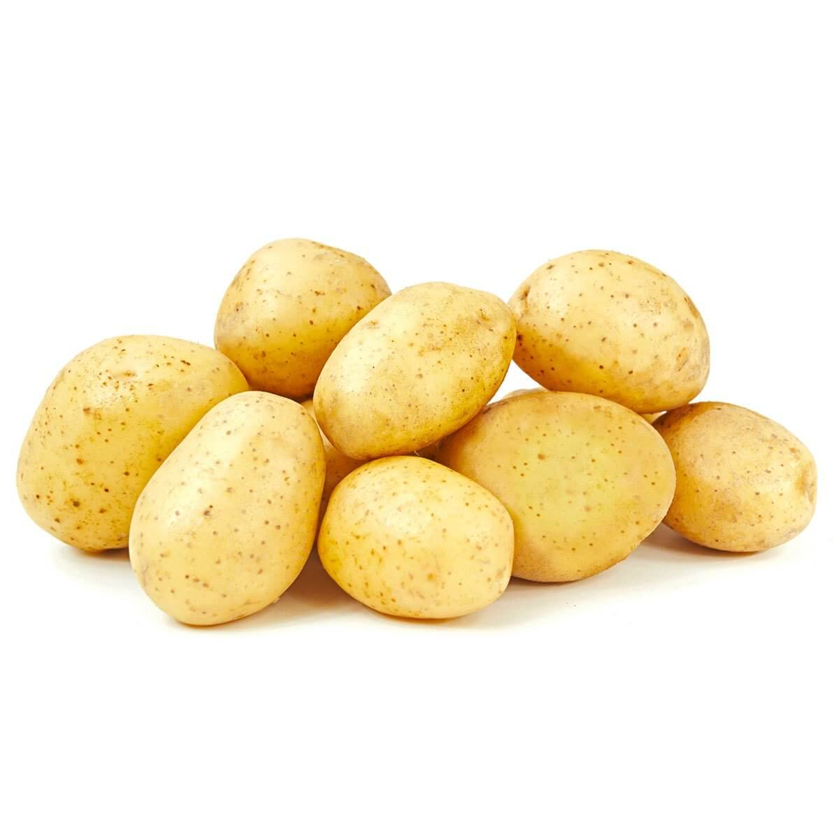 Patates Kg