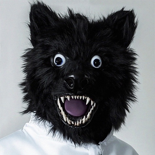 ANIMAL FKRY 표지