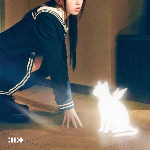bomb 표지