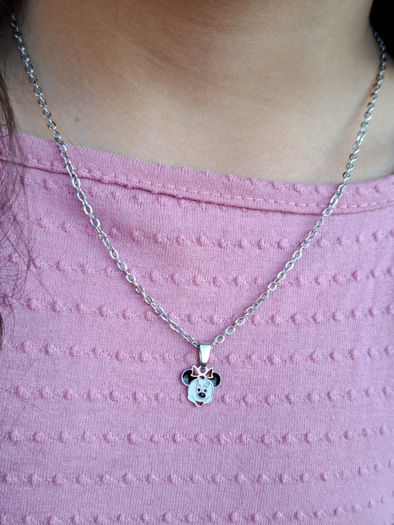 Foto de conjunto minnie resinado em aço inox