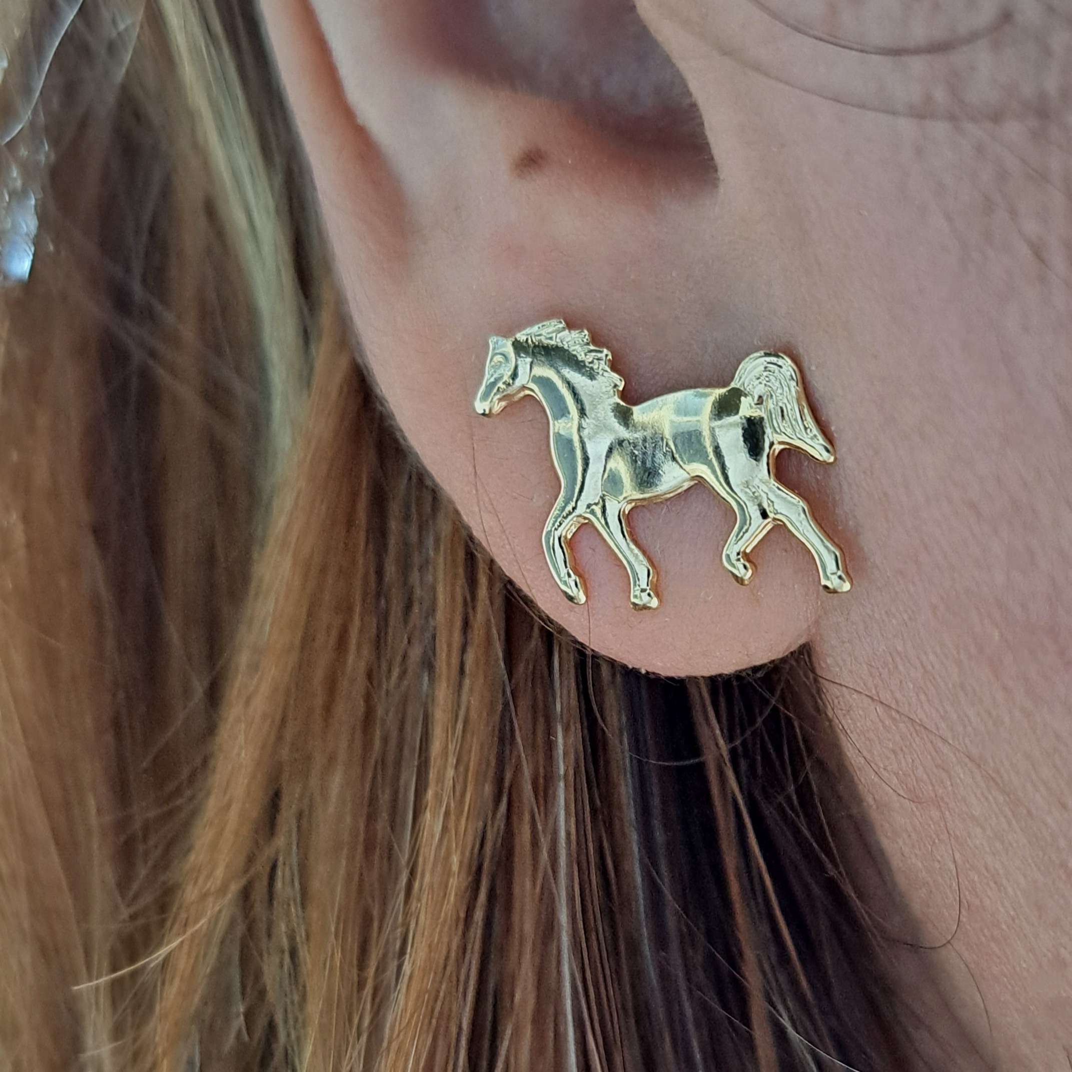 Foto de brinco cavalo laminado