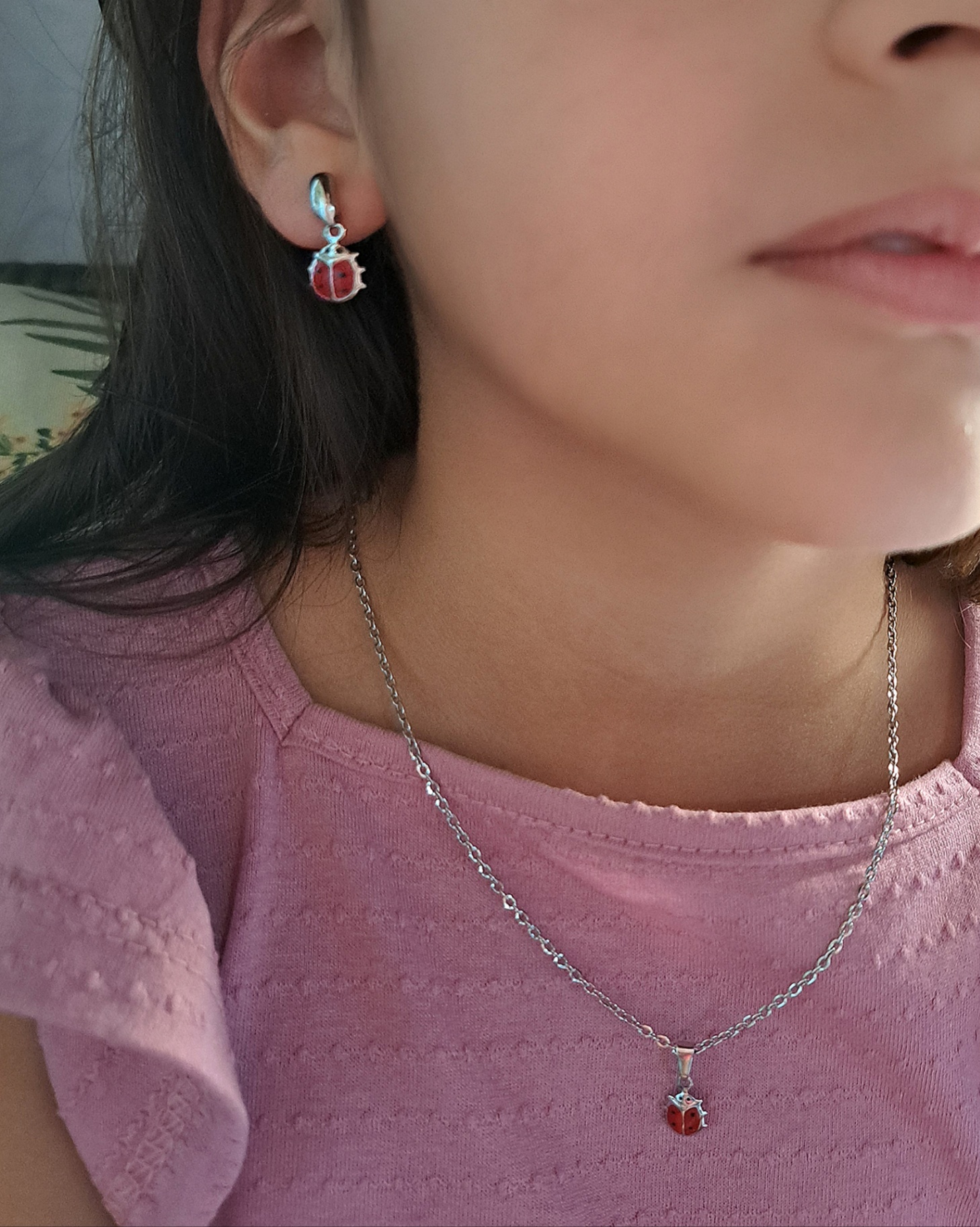 Foto de conjunto joaninha resinada em aço