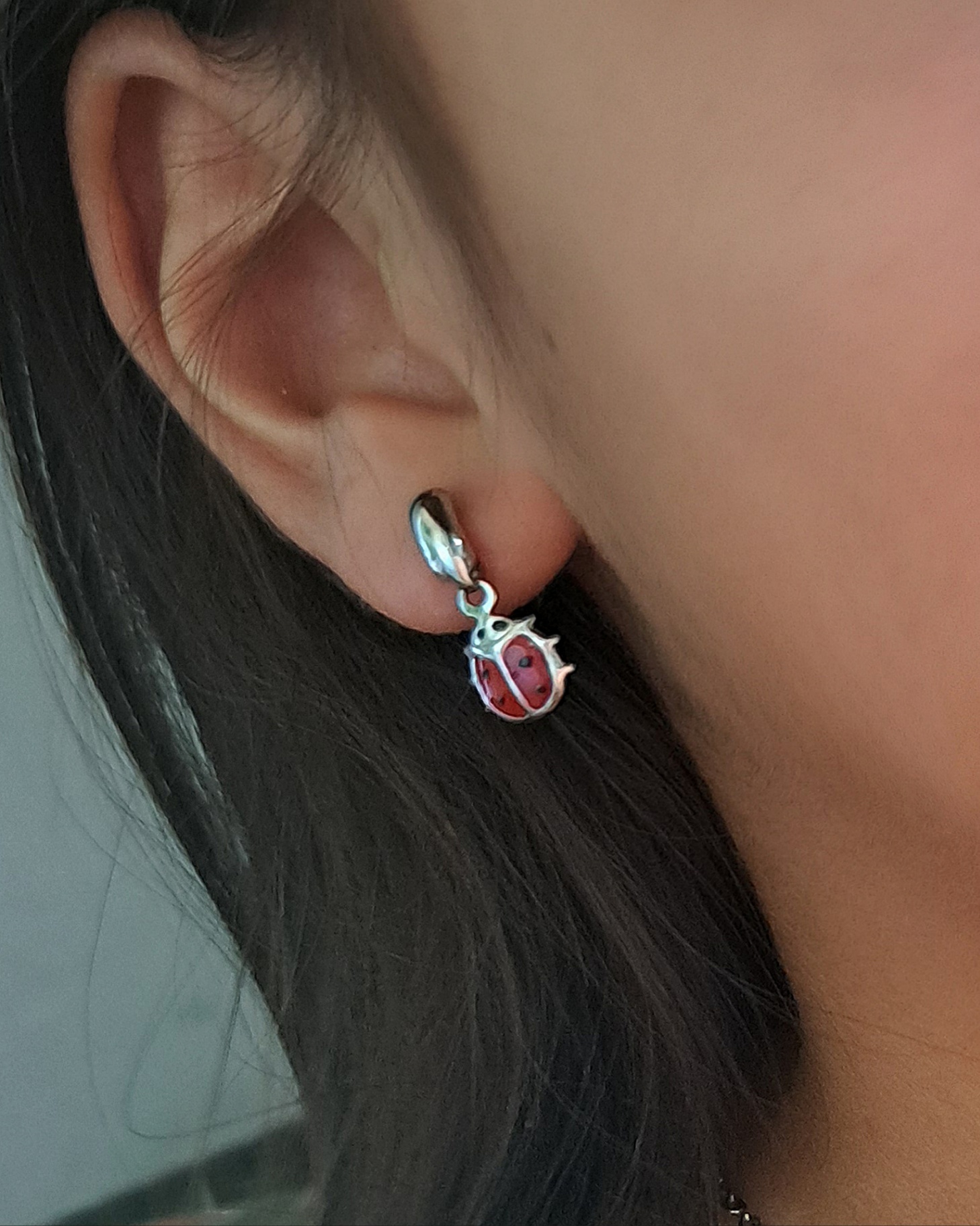 Foto de conjunto joaninha resinada em aço