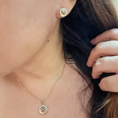 Foto de conjunto pet com zircônia