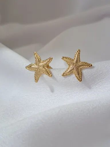Foto de brinco estrela do mar de 15mm