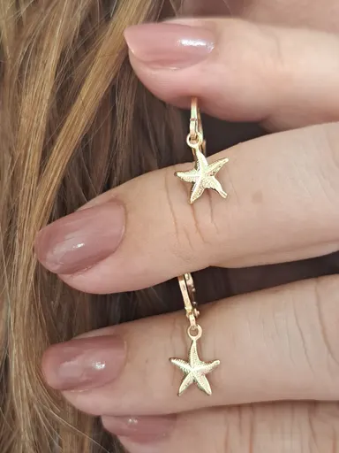 Foto de argola articulada estrela do mar p
