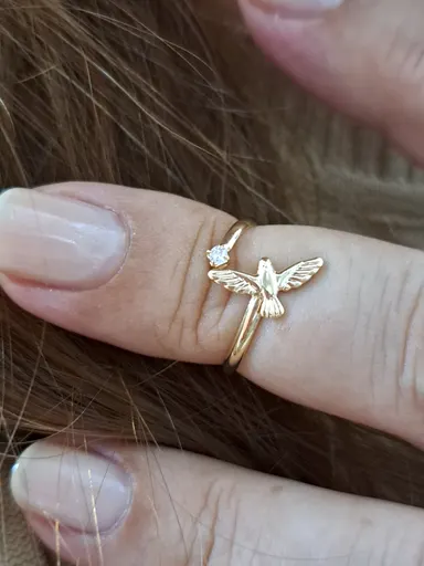 Foto de anel falange ponto luz e pássaro