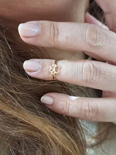 Foto de anel falange patinha