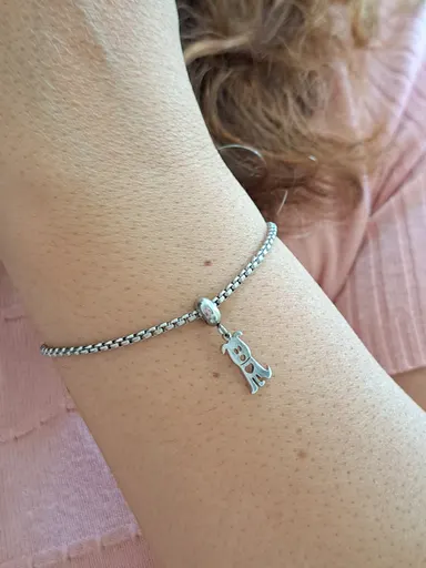 Foto de pulseira berloque cãozinho aço inox