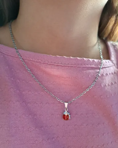 Foto de conjunto joaninha resinada em aço