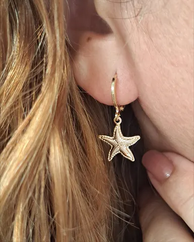 Foto de argola estrela do mar g