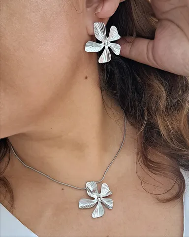 Foto de conjunto flora aço inox