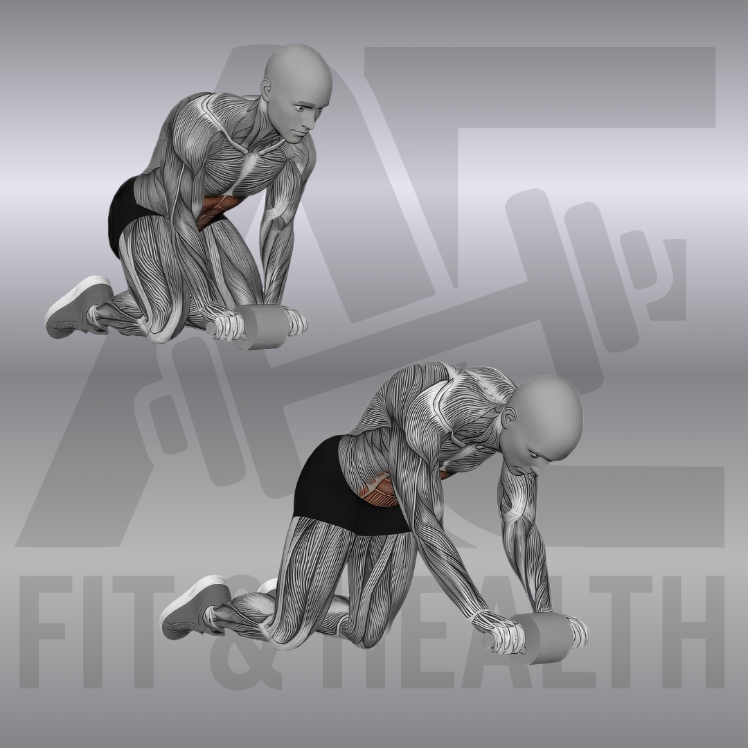 Bauchroller mit halbem Rollout (Ab Wheel Partial Rollout) – Person kniet auf einer Matte im Fitnessstudio oder Zuhause und rollt mit dem Bauchroller-Rad kontrolliert ein kurzes Stück nach vorne.