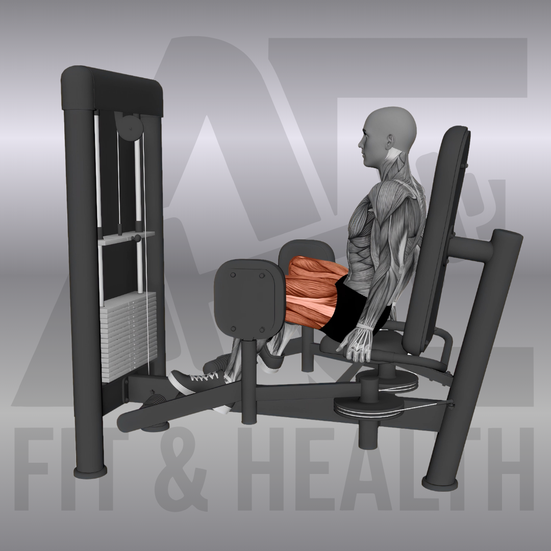 Übung Abduktion an der Maschine - Seated Machine Hip Abduction - Gezieltes Training der seitlichen Gesäßmuskulatur durch Gerätetraining im Fitnessstudio.