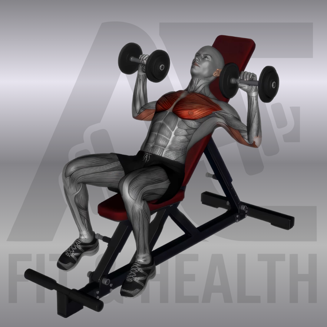 Schrägbankdrücken mit Kurzhanteln (45 Degree Incline Dumbbell Bench Press) – Person liegt auf einer 45 Grad geneigten Hantelbank im Fitnessstudio und drückt zwei Kurzhanteln kontrolliert nach oben.