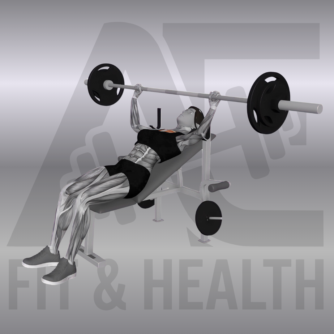 Bankdrücken mit Langhantel Schrägbank (Incline Barbell Bench Press) – Person liegt auf einer positiv geneigten Schrägbank im Fitnessstudio und drückt eine Langhantel von der oberen Brust vertikal nach oben.