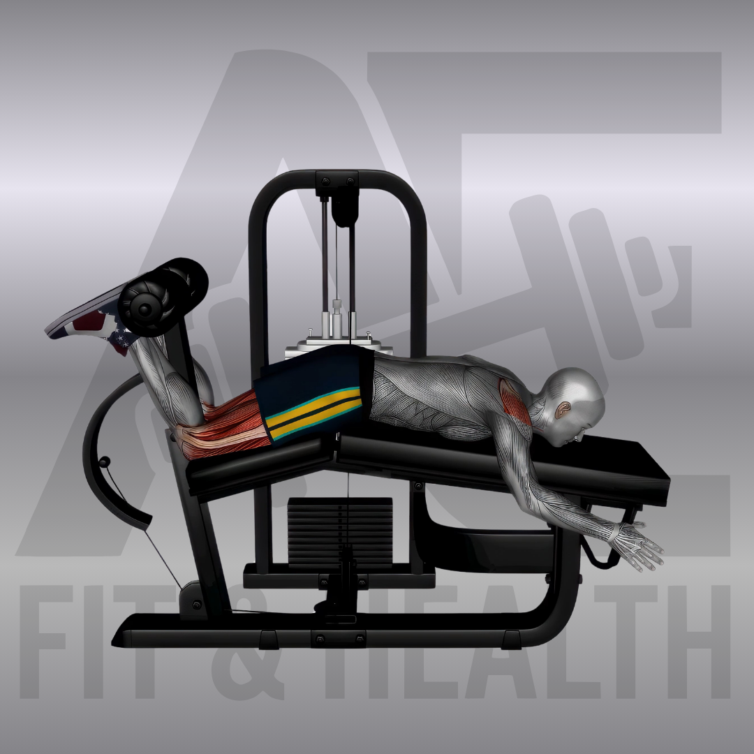 Beinbeuger Maschine liegend (Lying Machine Leg Curl) – Person liegt bäuchlings auf einem Beintrainer im Fitnessstudio und beugt beide Beine gleichzeitig gegen den Widerstand einer Polsterrolle zum Gesäß.