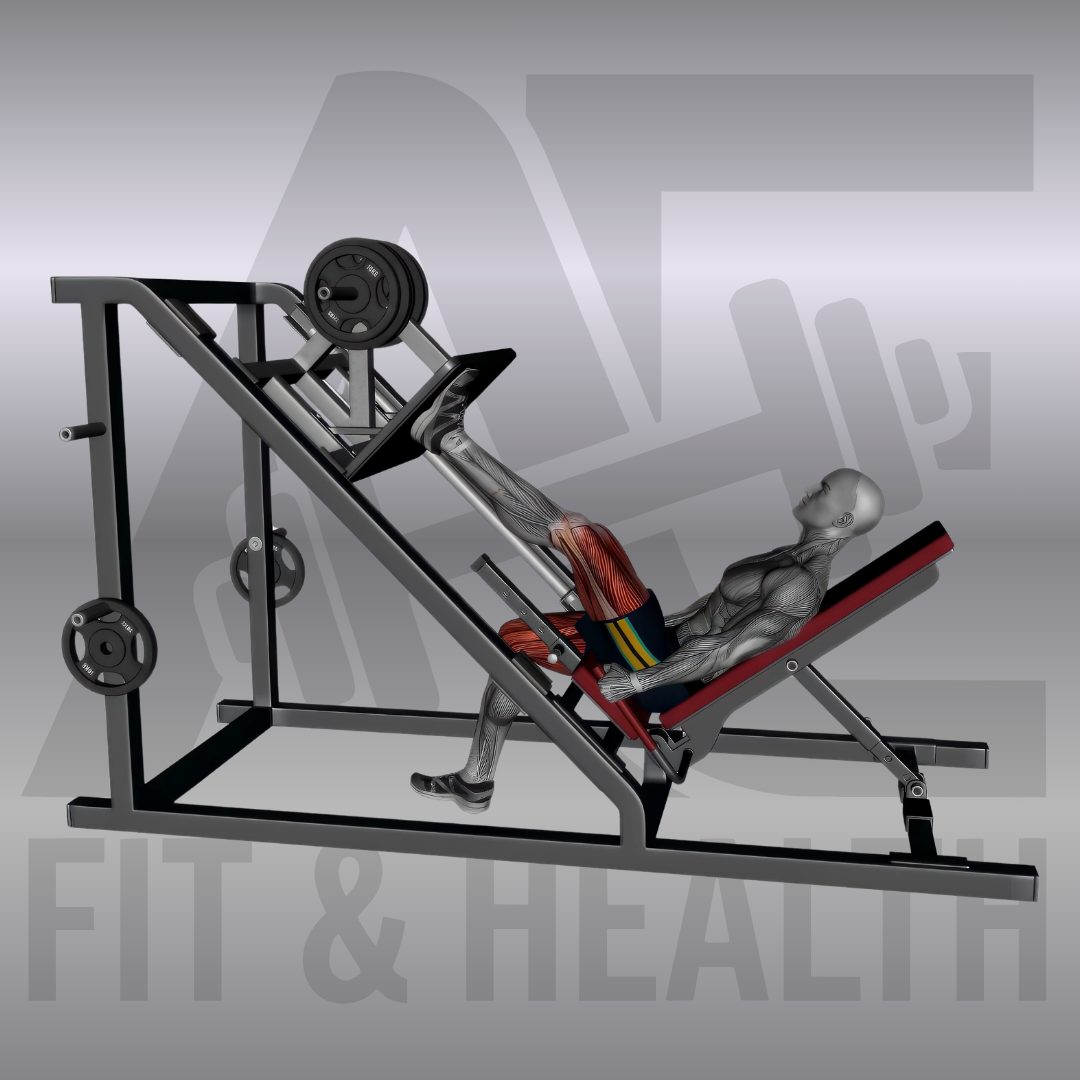 Einbeinige Beinpresse (Single Leg 45 Degree Incline Leg Press) – Person sitzt in einer 45 Grad geneigten Beinpresse im Fitnessstudio und drückt die schwere Plattform kontrolliert mit nur einem Bein nach oben.