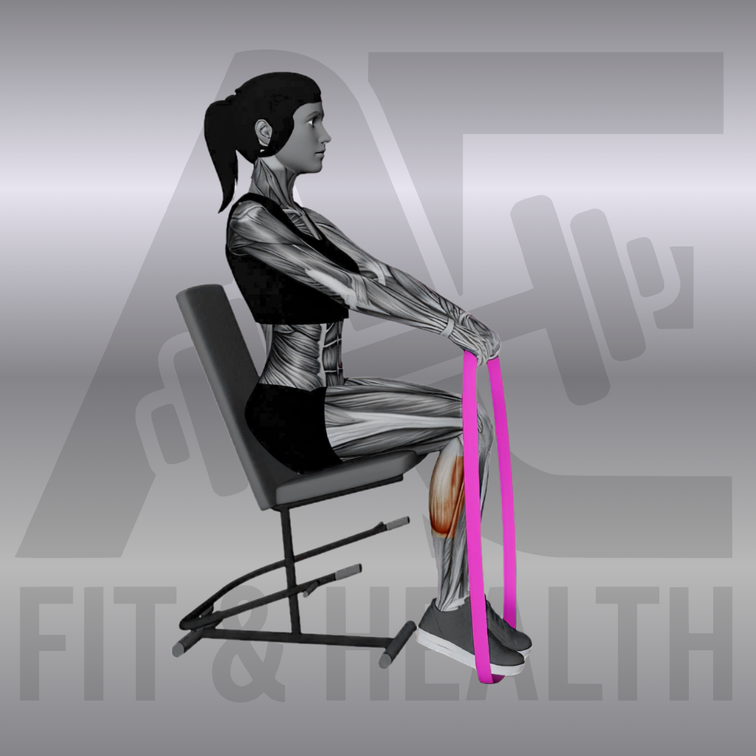 Wadenheben mit Widerstandsband im Sitzen (Resistance Band Calf Press Sitting on Chair) – Frau sitzt auf einem Stuhl und drückt ein Fitnessband mit dem Fußballen eines gestreckten Beins kontrolliert nach vorne.