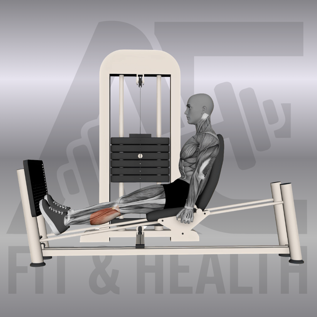 Wadenheben an der horizontalen Beinpresse (Horizontal Leg Press Calf Raise) – Person sitzt in einer horizontalen Beinpresse im Fitnessstudio und drückt die Plattform beidbeinig über die Fußballen kontrolliert nach vorne.