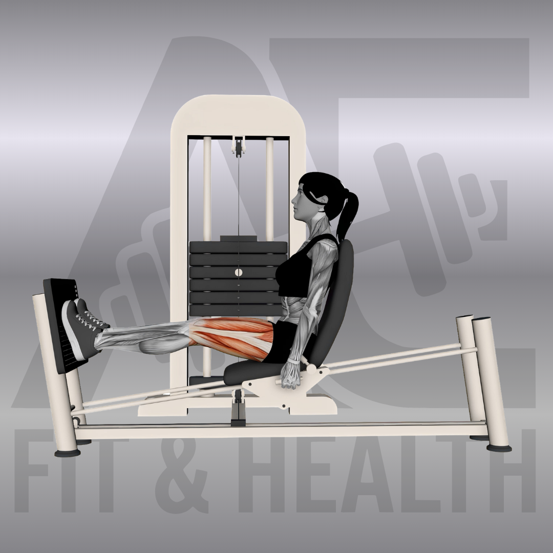 Horizontale Beinpresse (Horizontal Leg Press) – Frau sitzt in einer horizontalen Beinpresse im Fitnessstudio und drückt die Plattform mit beiden Beinen kontrolliert nach vorne.