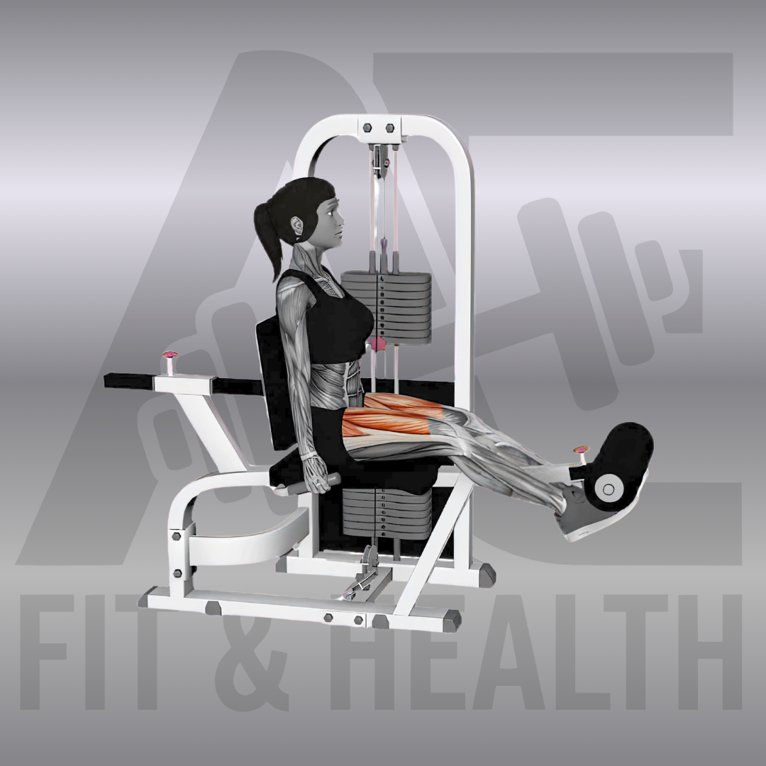 Beinstrecker an der Maschine beidbeinig (Machine Leg Extension) – Person sitzt an einem Beintrainer im Fitnessstudio und drückt die Polsterrolle mit beiden Schienbeinen gleichzeitig kontrolliert nach oben.