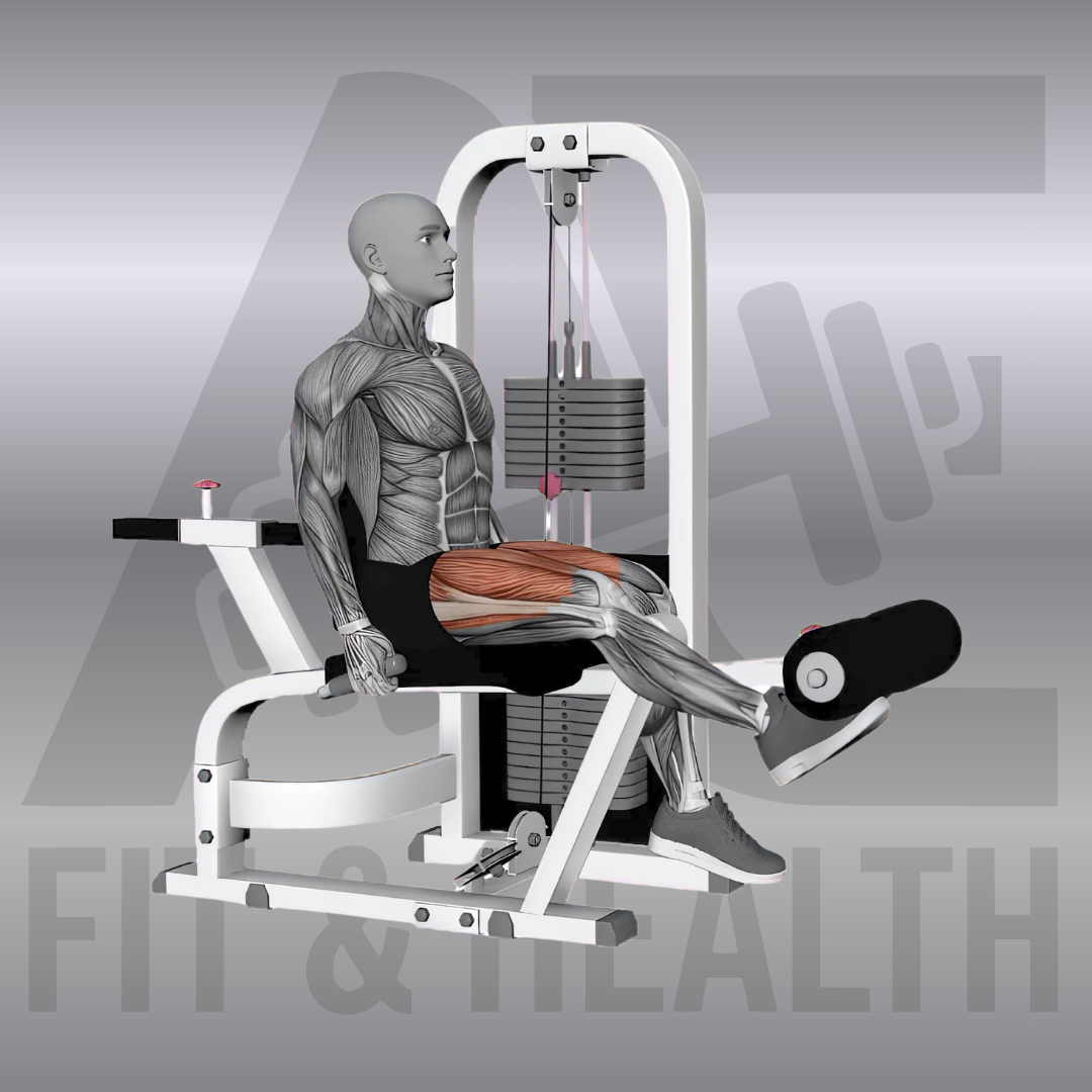 Beinstrecker an der Maschine einbeinig (Single Leg Machine Leg Extension) – Person sitzt an einem Beintrainer im Fitnessstudio und drückt die Polsterrolle mit nur einem Schienbein kontrolliert nach oben.