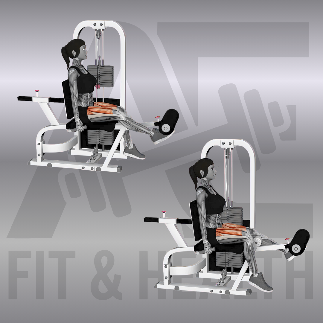 Beinstrecker an der Maschine alternierend (Alternating Machine Leg Extension) – Person sitzt an einem Beintrainer im Fitnessstudio und streckt abwechselnd das linke und das rechte Bein gegen den Widerstand der Polsterrolle nach oben.