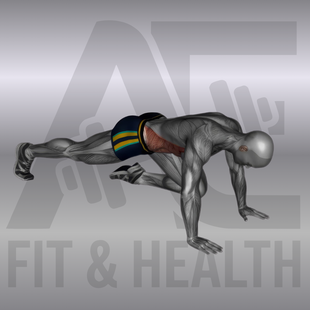 Bergsteiger (Mountain Climbers) – Person in Liegestützposition auf einer Matte im Fitnessstudio oder Zuhause, die abwechselnd die Knie explosiv Richtung Brust zieht.