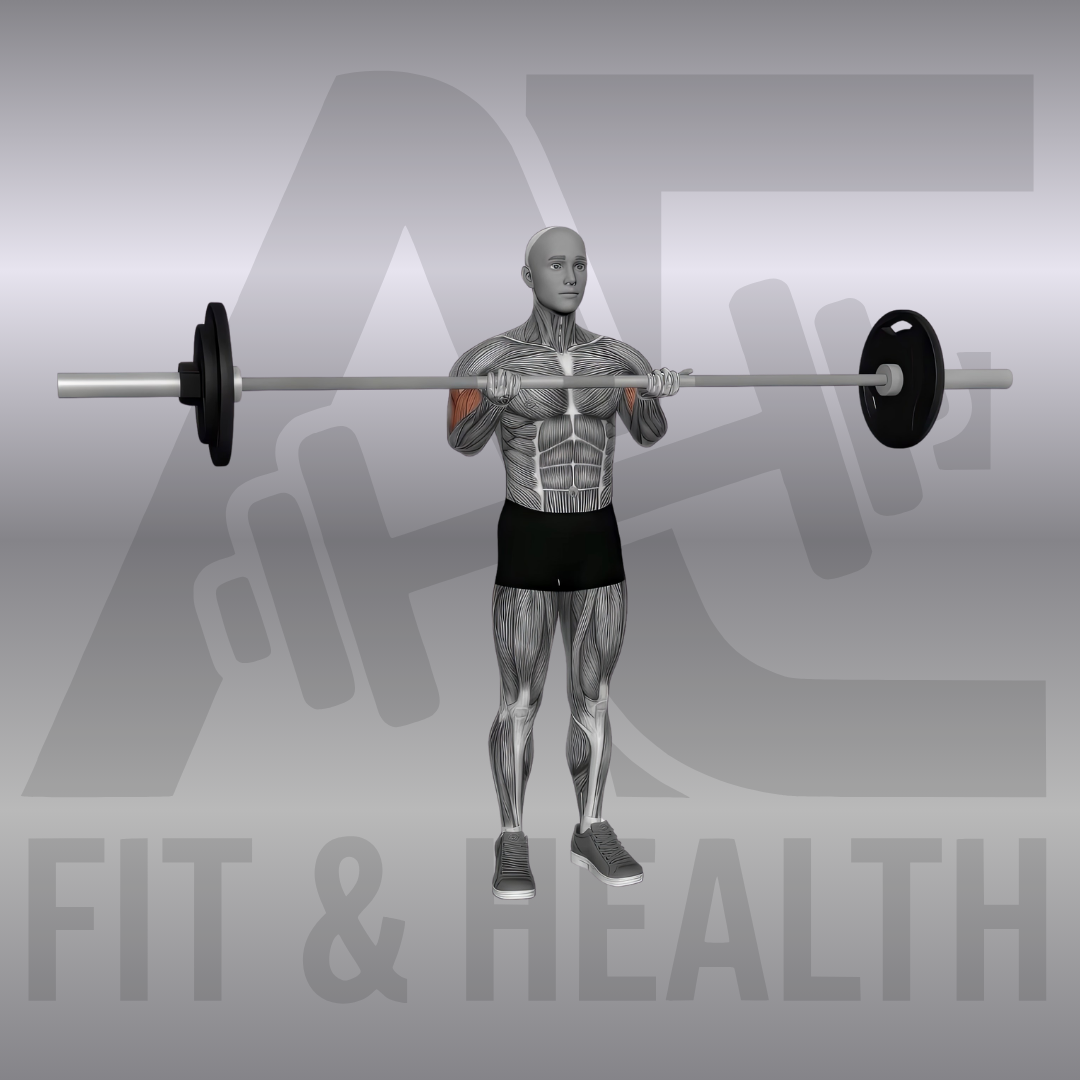 Bizeps Curls mit Langhantel stehend (Standing Barbell Biceps Curl) – Person steht aufrecht im Fitnessstudio und curlt eine Langhantel im Untergriff kontrolliert in Richtung der Schultern.