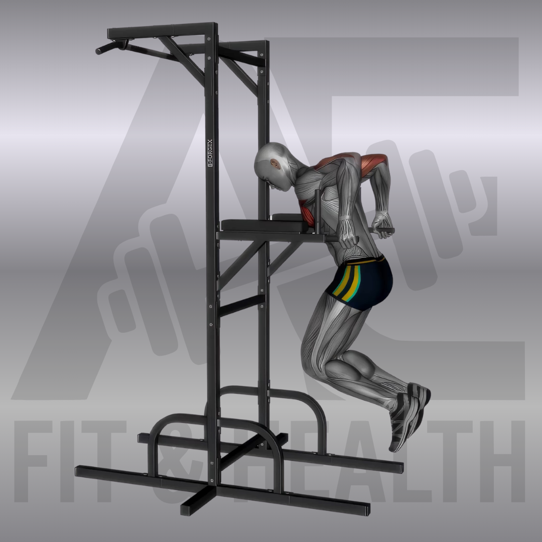 Brust Dips (Chest Dips) – Person führt an Dip-Holmen im Fitnessstudio Dips mit nach vorne geneigtem Oberkörper aus, um die Brustmuskulatur zu trainieren.