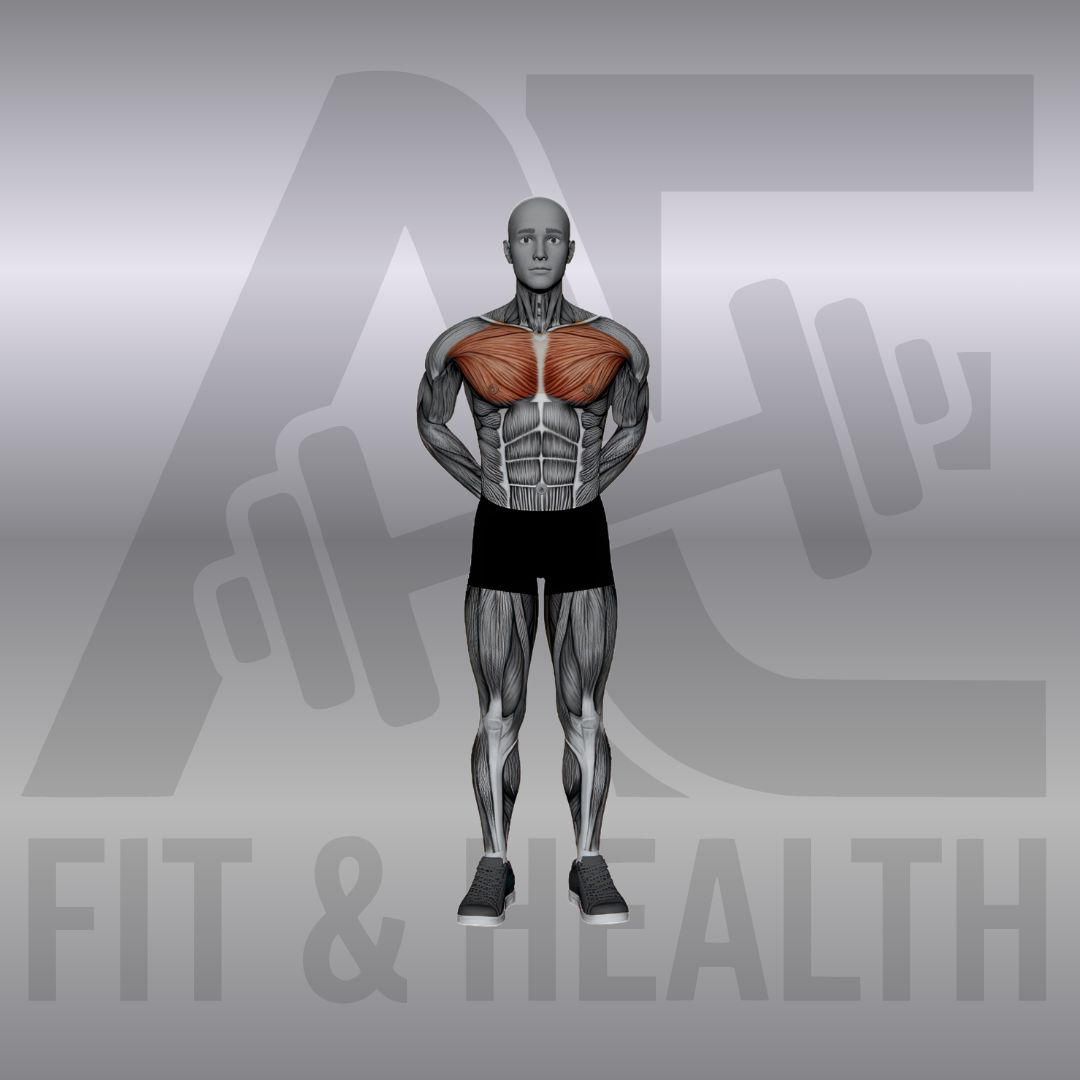 Brust-Stretch hinter dem Rücken (Arms Behind Back Chest Stretch) – Person steht aufrecht und führt die verschränkten Hände hinter dem Rücken nach oben, um die Brust und die vorderen Schultern zu dehnen.