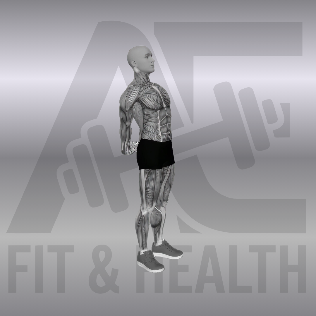 Bodyweight Standing Back Stretch – Männliche anatomische Darstellung einer Person im Stand, die die Hände hinter dem Rücken verschränkt und die Brust nach vorne schiebt, um die vordere Kette zu dehnen.